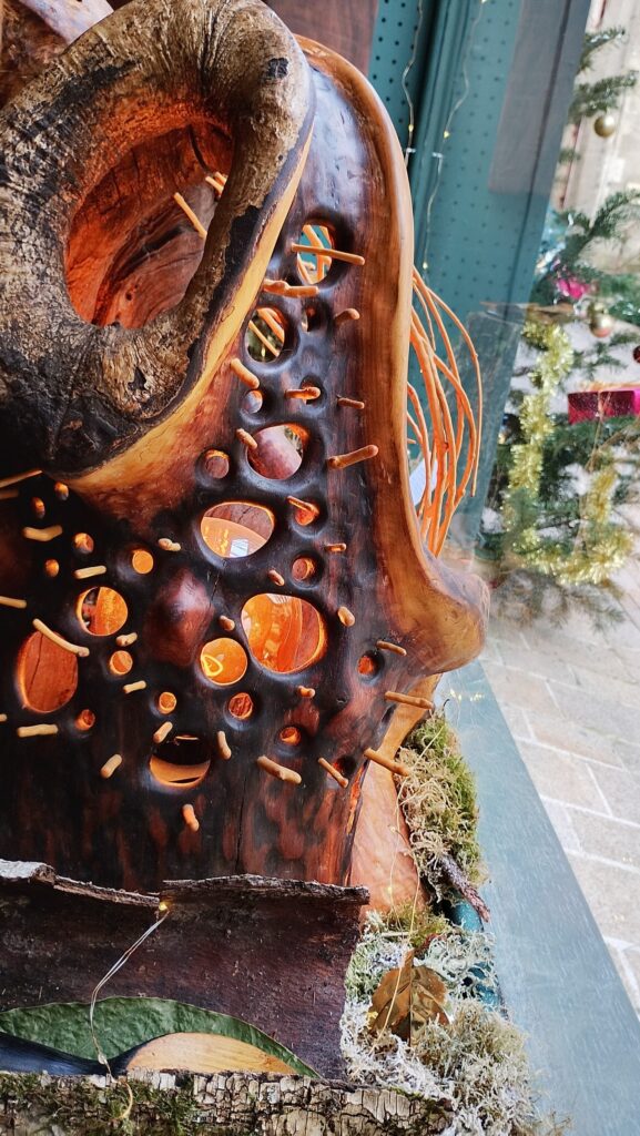 589465234 1472157604625654 7315376673644886230 n